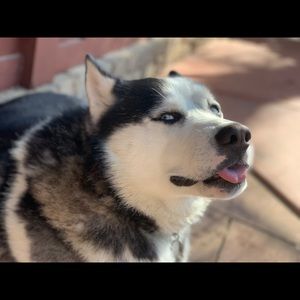 Meet your Posher, Jess